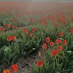 Ons Achter * Noordwijkerhout